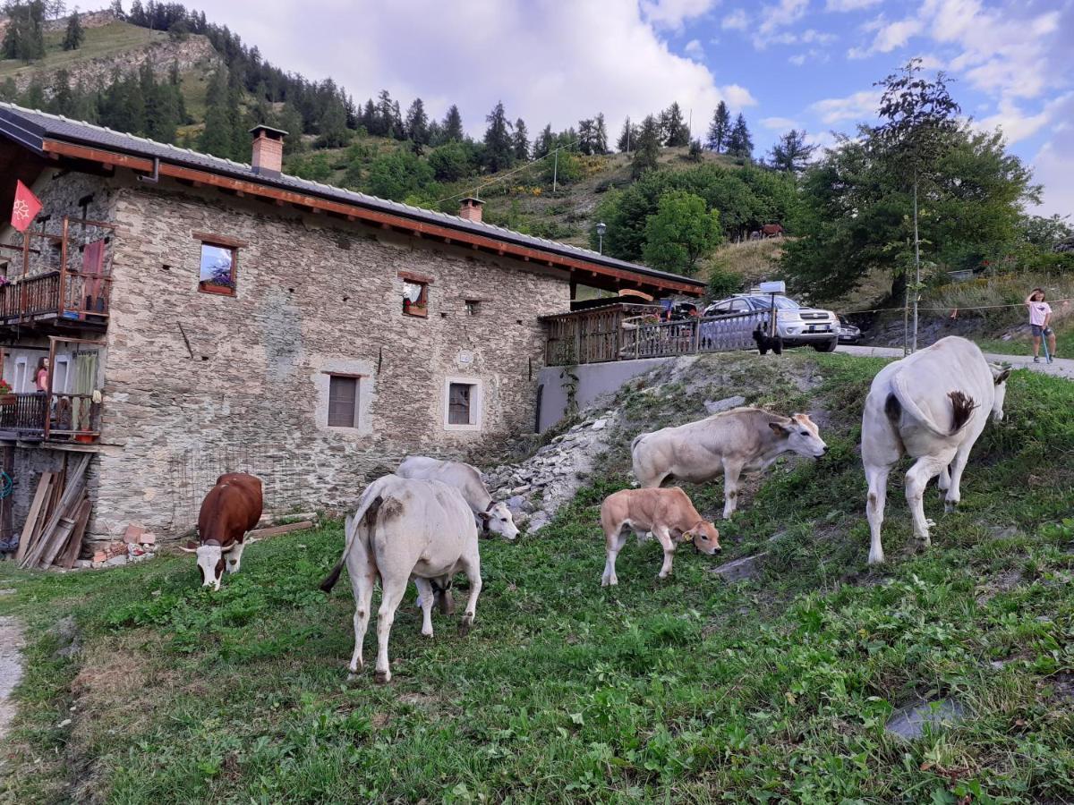Agri-B&B Lou Col Canosio 外观 照片